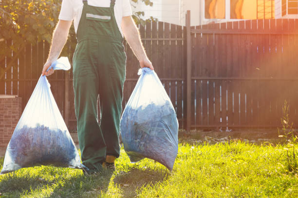 Best Shed Removal  in Belgium, WI